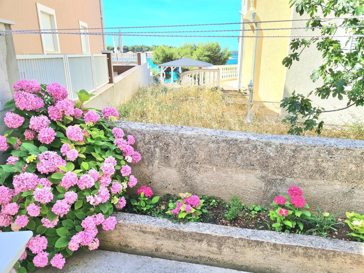Apartment Ivana ブロダリツァ エクステリア 写真
