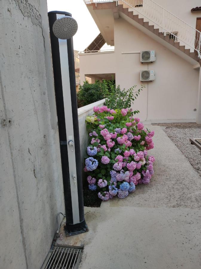 Apartment Ivana ブロダリツァ エクステリア 写真