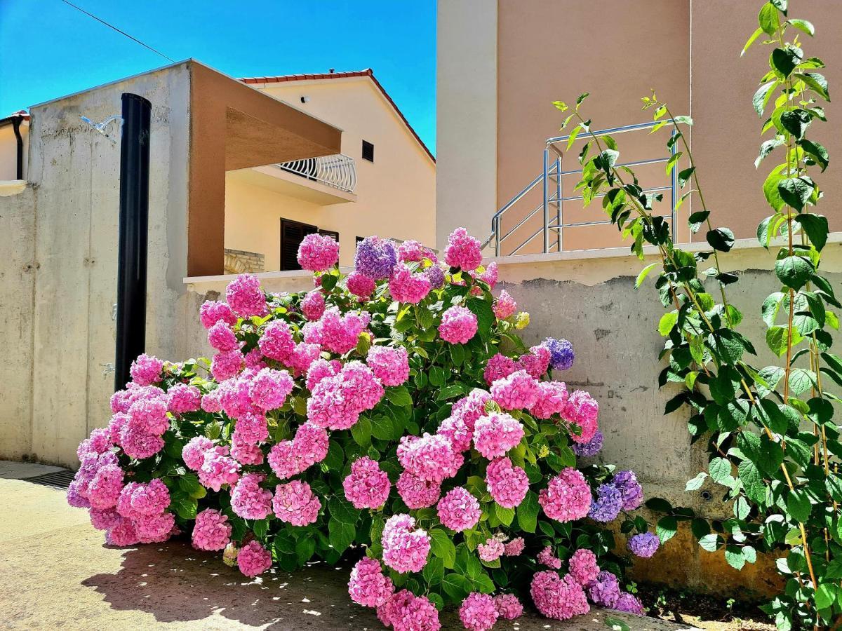 Apartment Ivana ブロダリツァ エクステリア 写真